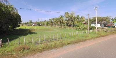 ដី សំរាប់លក់ នៅSout Nikom តម្លៃ $49,776