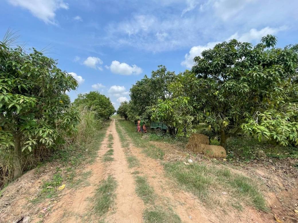 ที่ดิน สำหรับขาย ขนาดที่ดิน 6,605 ตร.ม.