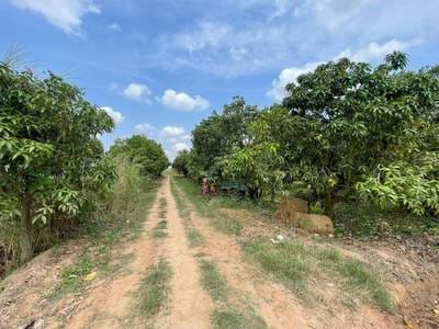 ที่ดิน สำหรับขาย ขนาดที่ดิน 6,605 ตร.ม.