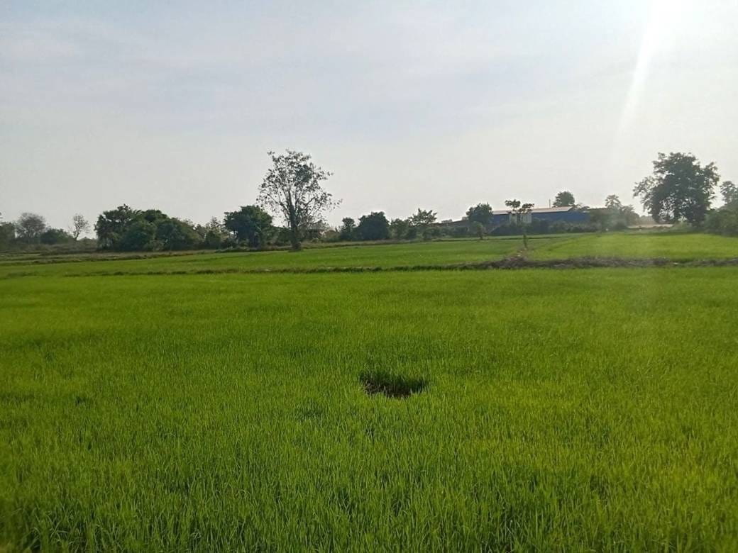 ที่ดิน สำหรับขาย ใน Kandal Stueng $225,000
