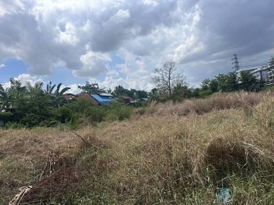 5,000 sqm Land Size Pozemky K pronájmu