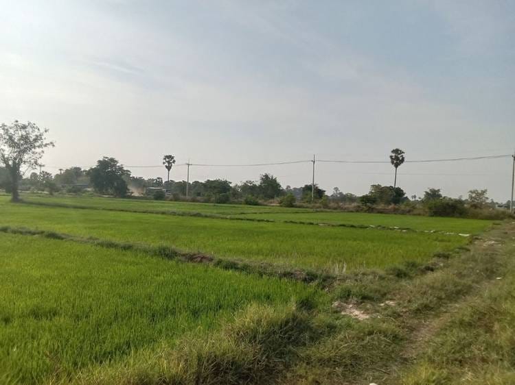 Land For Sale in Ampov Prey, Kandal Stueng, Kandal