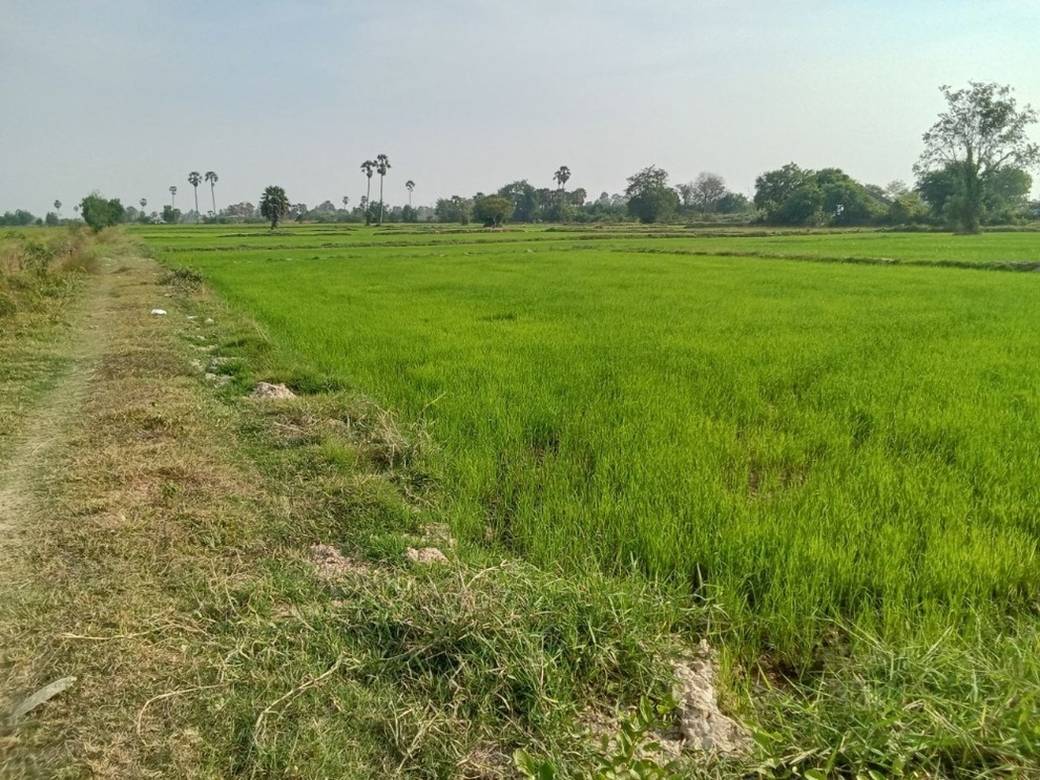 ที่ดิน สำหรับขาย ใน Ampov prey, กันดาลสตึง, กันดาล