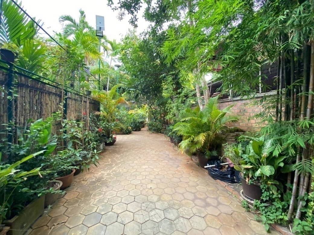 House and lot À louer à Siem Reap $400