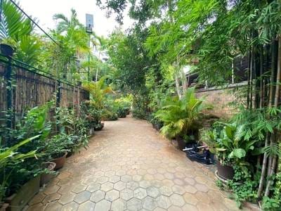 House and lot À louer à Siem Reap $400