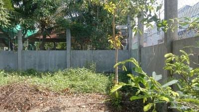 ที่ดิน สำหรับขาย ขนาดที่ดิน 220 ตร.ม.