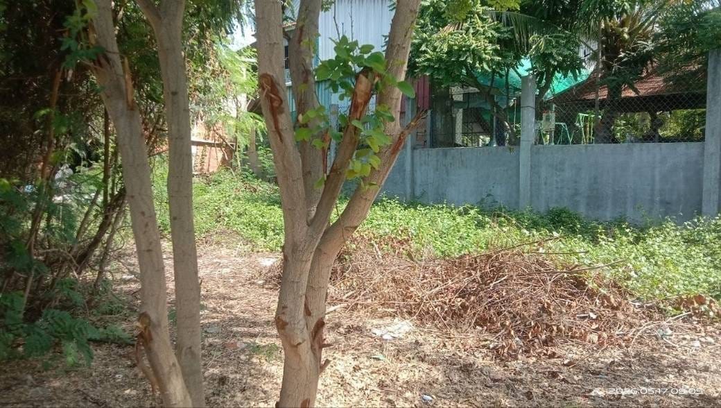ที่ดิน สำหรับขาย ใน สเปียนทมา, ดังกอ, พนมเปญ