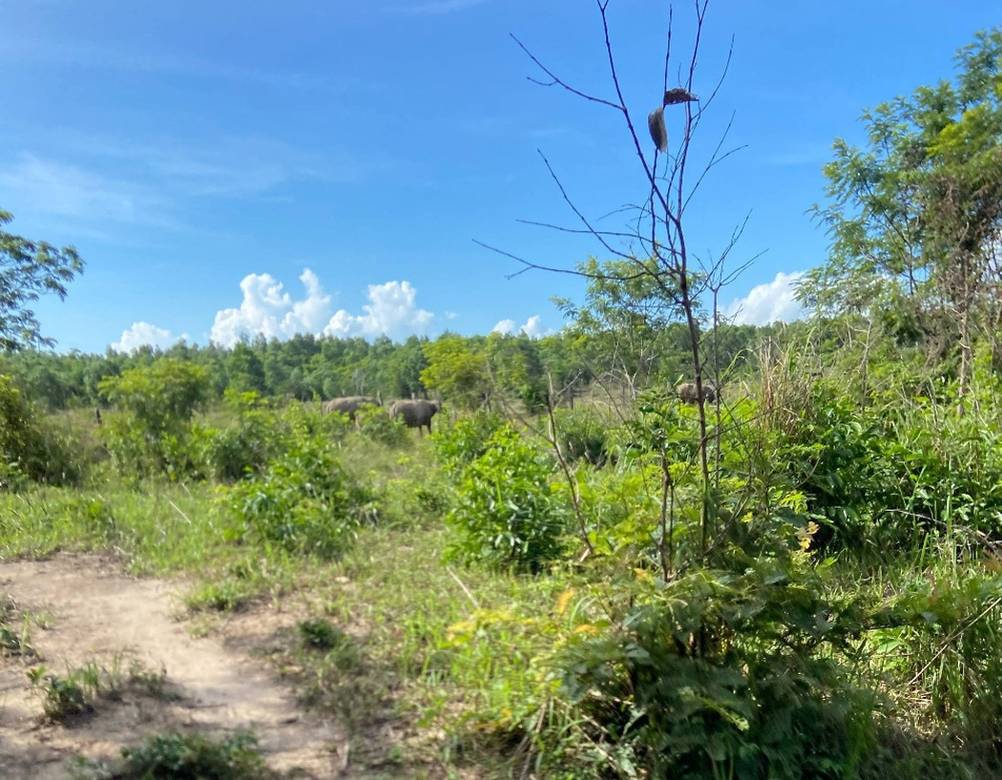 Relief À vendre de 4,000 m² de terrain