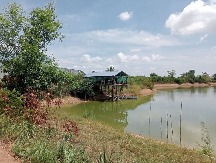 200 sqm Living Size Warehouse For Sale in Ponhea Lueu