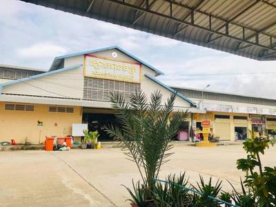 100 sqm Living Size Flat House K pronájmu in Battambang