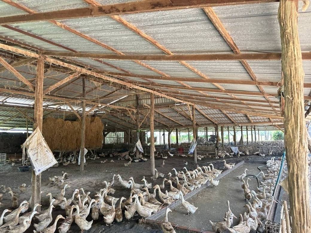 Sklad Na prodej in Cheung Prey $80,000