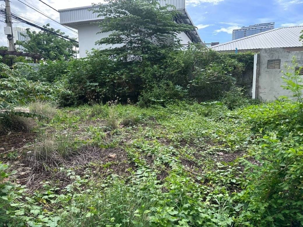 대지면적 1,974㎡ 토지 임대