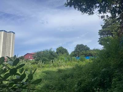 800平方米土地面积的土地出售