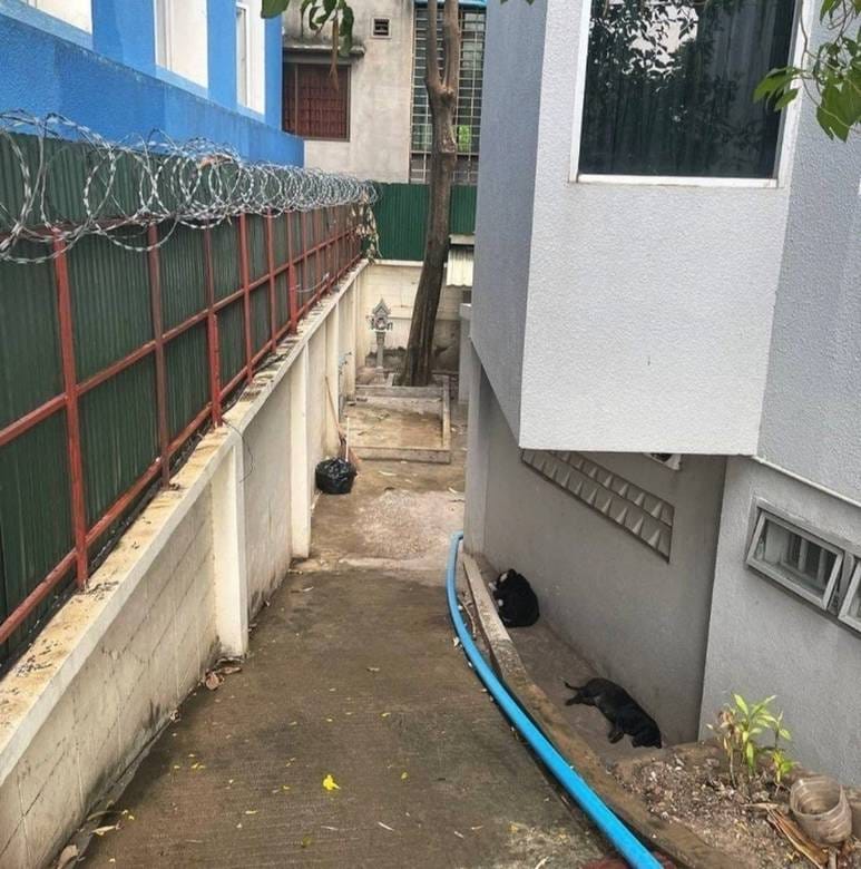 House and lot Для Продажи in Toul Kork $790,000