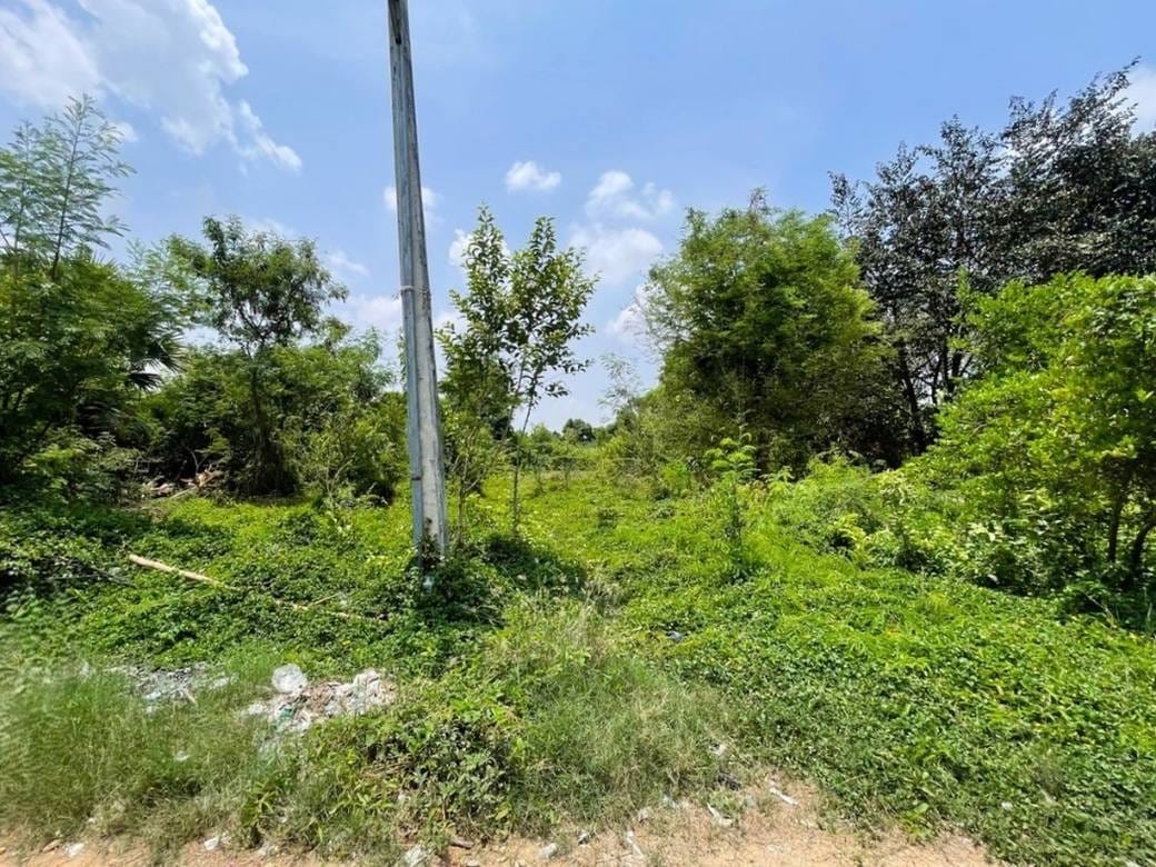 Relief À vendre de 2,540 m² de terrain
