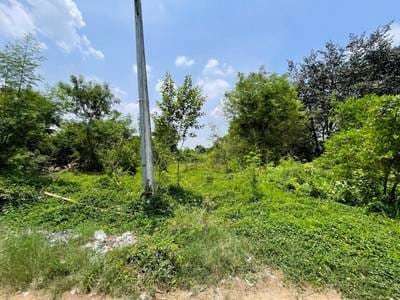 Relief À vendre de 2,540 m² de terrain