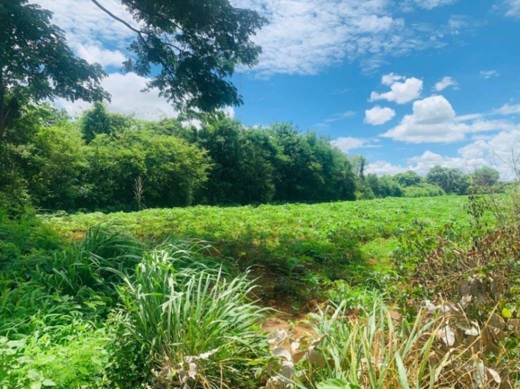 ដី សំរាប់លក់ នៅ ទួលល្វា, ប៉ៃលិន, ប៉ៃលិន