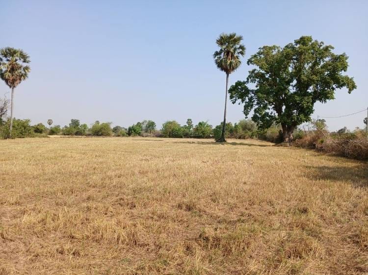 Ampov Prey, Kandal Stueng, Kandalの土地売り物件