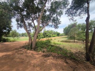 ที่ดิน สำหรับขาย ใน สวายดังกุม, เสียมเรียบ, เสียมเรียบ