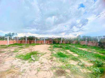 Siem Reap ដី សំរាប់លក់ នៅSiem Reap