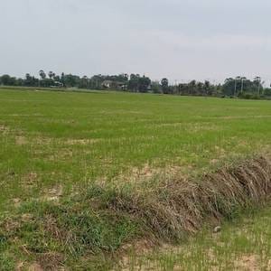 5,000 sqm Land Size Lot Na prodej