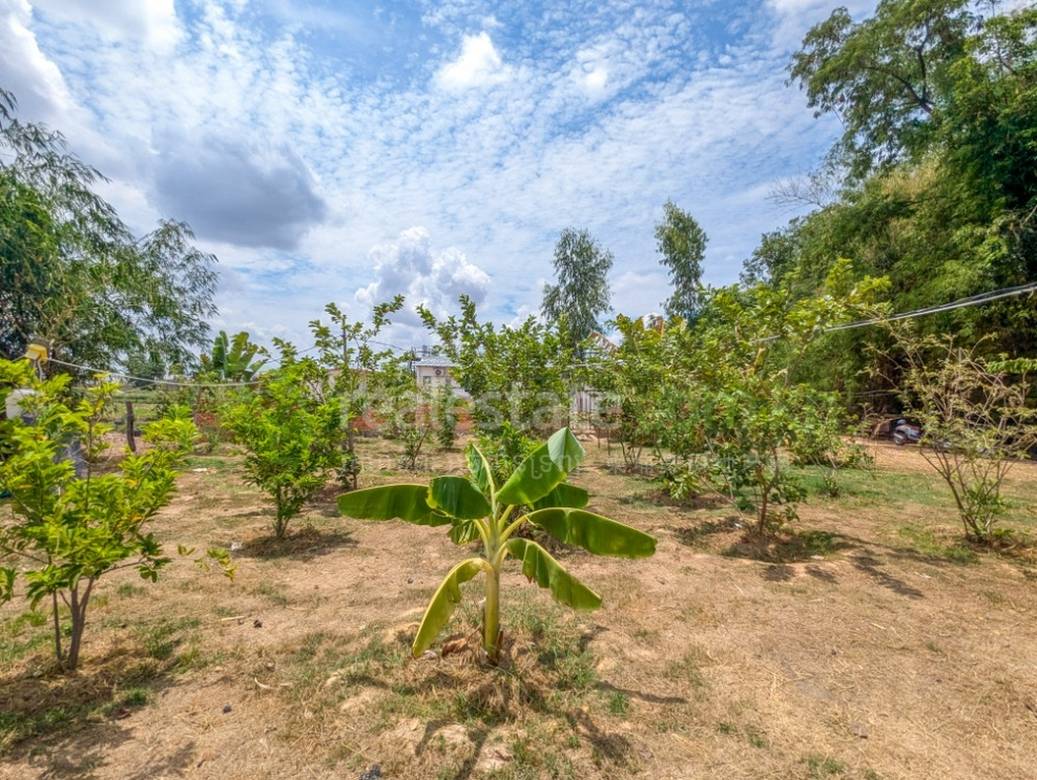 Pozemky Na prodej in Svay Dankum, Siem Reap, Siem Reap