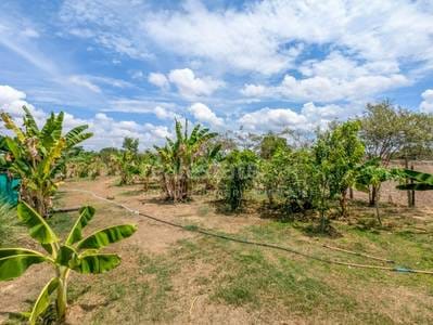 Pozemky Na prodej in Siem Reap Na dotaz