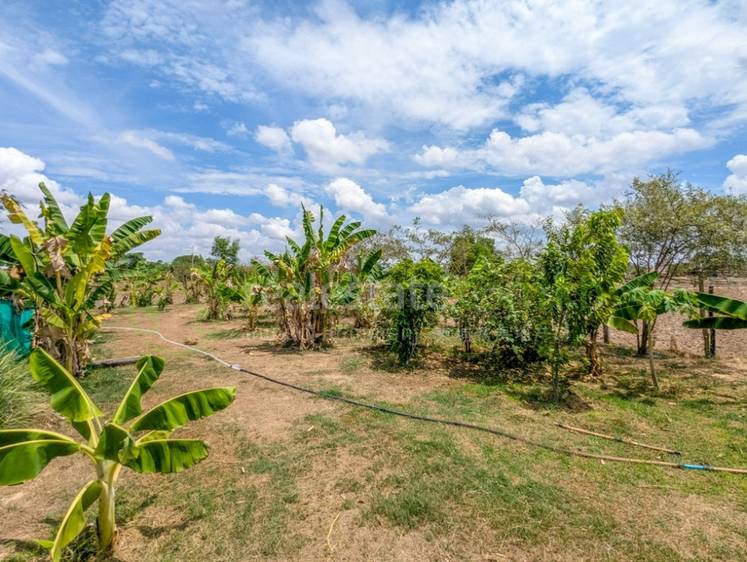 Pozemky Na prodej in Siem Reap Na dotaz