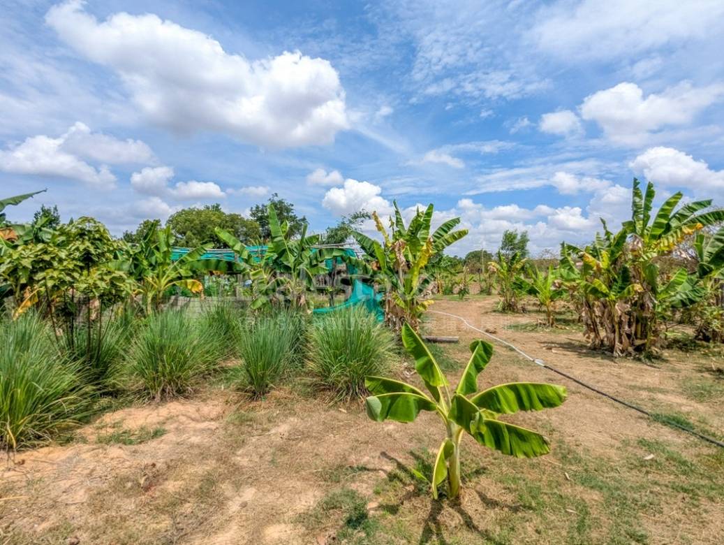 Svay Dankum Pozemky Na prodej in Svay Dankum