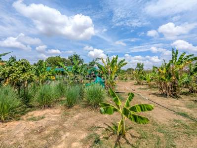 Svay Dankum Pozemky Na prodej in Svay Dankum