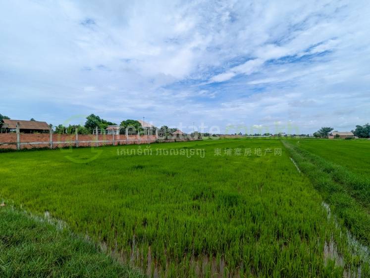 Pozemky Na prodej in Chreav, Siem Reap, Siem Reap