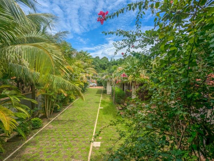 วิลล่า For Sale & Rent พื้นที่ใช้สอย 350 ตร.ม. ใน Siem Reap