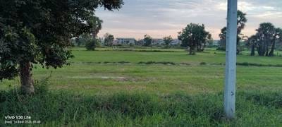 Agricultural For Sale in Pong Tuek, Dangkao, Phnom Penh