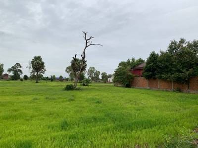 Pozemky Na prodej in Kandaek, Prasat Bakong, Siem Reap