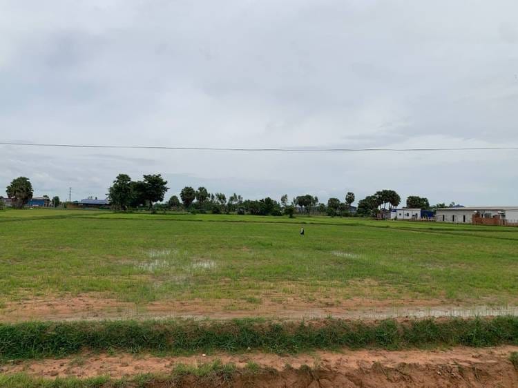 Kandaek, Prasat Bakong, Siem Reap에 있는 토지 매매
