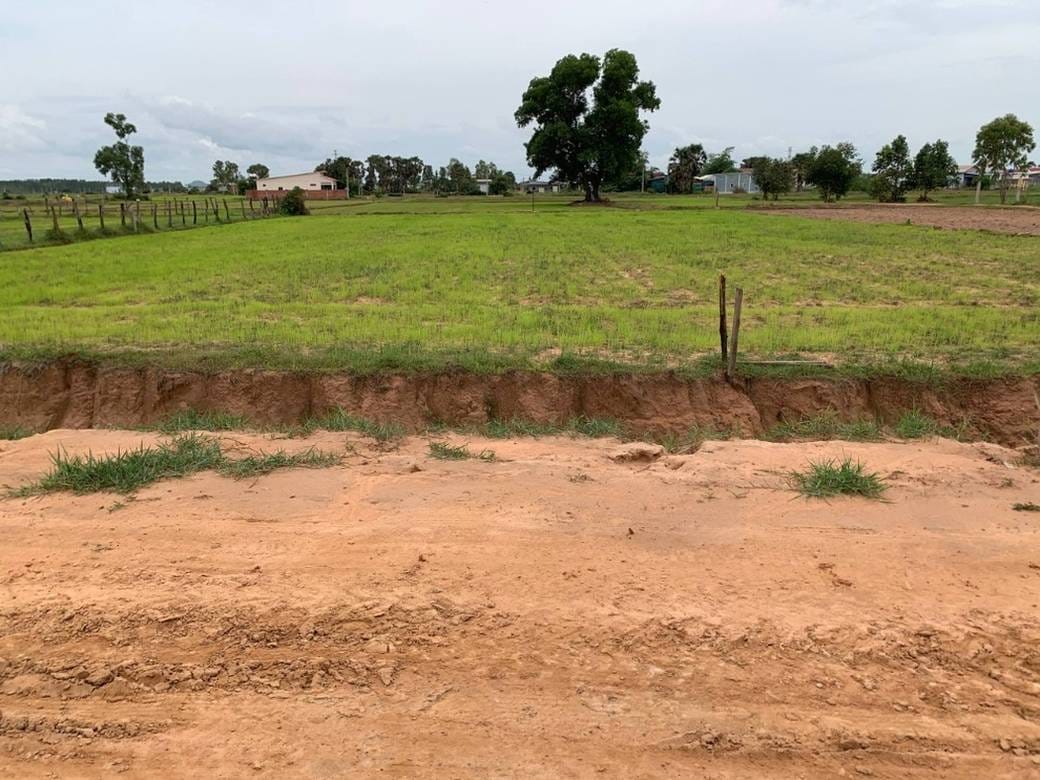 2,255 sqm Land Size Pozemky Na prodej