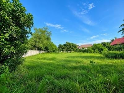2,496平方米土地面积的土地出售
