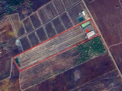 43,434 sqm Land Size House and lot For Sale