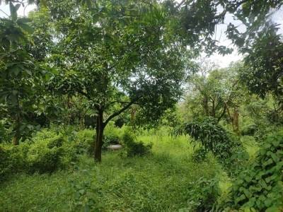 Lot For Sale in Kampong Phnum, Leuk Daek, Kandal