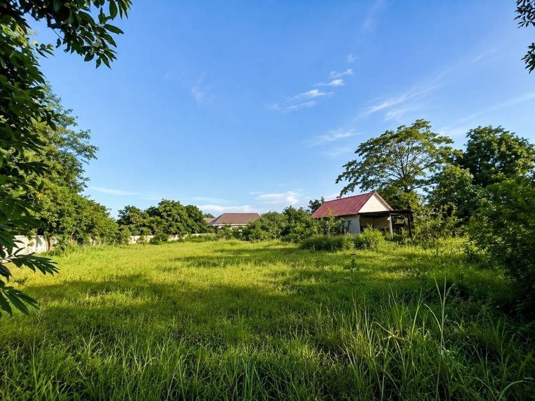 土地出售，位于Svay Dangkum分区, 暹粒, 暹粒