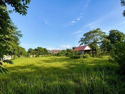 土地出售，位于Svay Dangkum分区, 暹粒, 暹粒