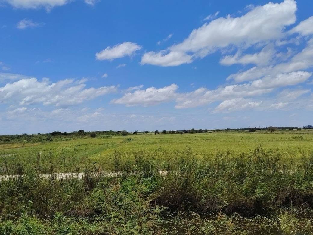71,500 sqm Land Size Lot Na prodej