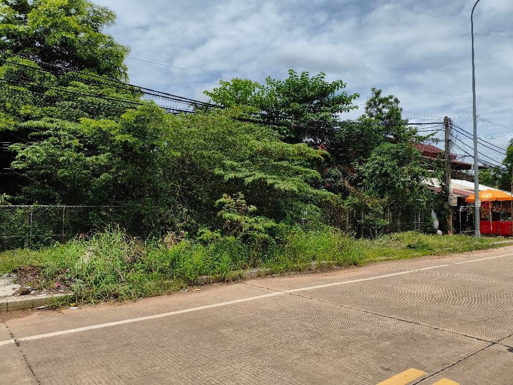 Działka Na sprzedaż w Siem Reap $343,035