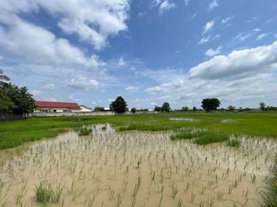 Bati土地出售，价格$25