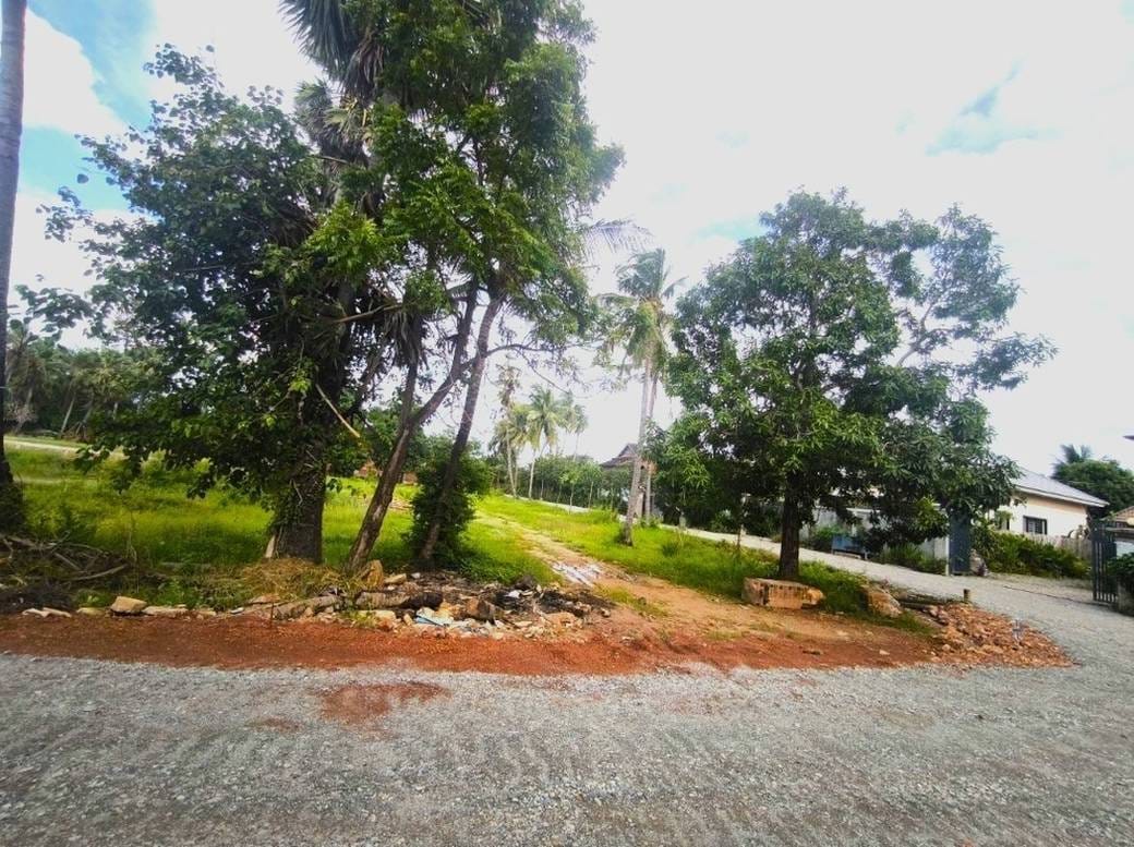 Lot For Sale in Sala Kamraeuk, Siem Reap, Siem Reap