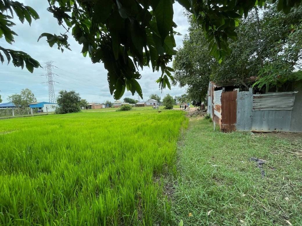 Pozemky Na prodej in Chreav, Siem Reap, Siem Reap