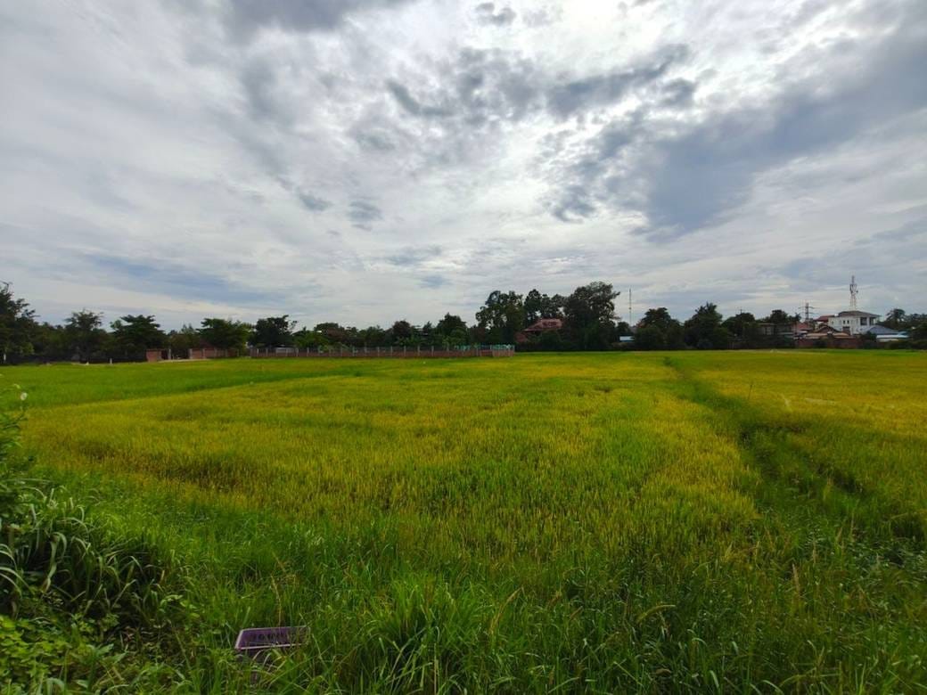Relief À vendre à Siem Reap $565,040