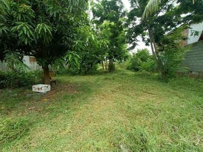 896 sqm Land Size Pozemky Na prodej