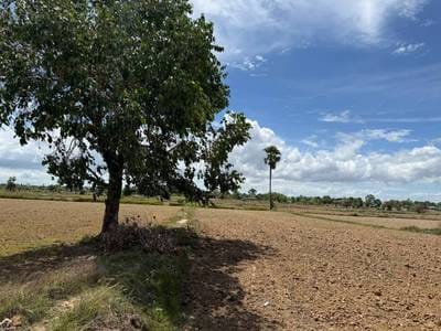 Lot Na prodej in Chbar Mon $220,000