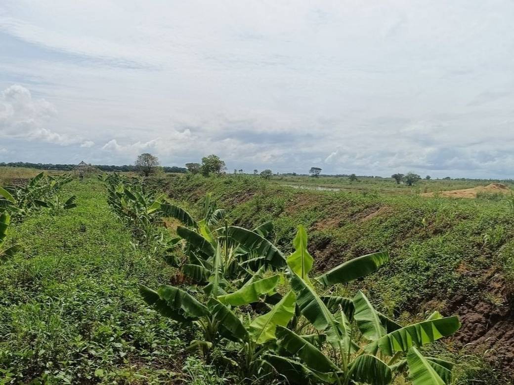 Kampong Svay Pozemky Na prodej in Kampong Svay